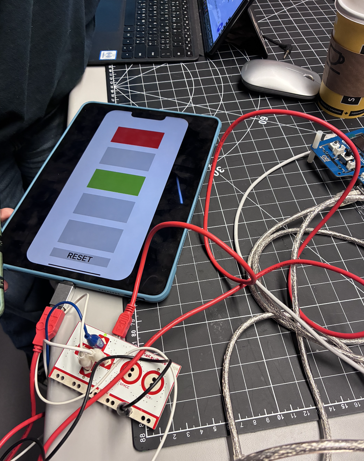 The same setup displays active control selections, with a reset button available for user interaction.